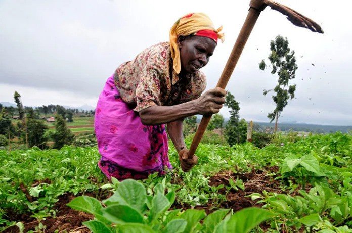 Economy 1 agric 696x461 1 ezgif.com webp to jpg converter