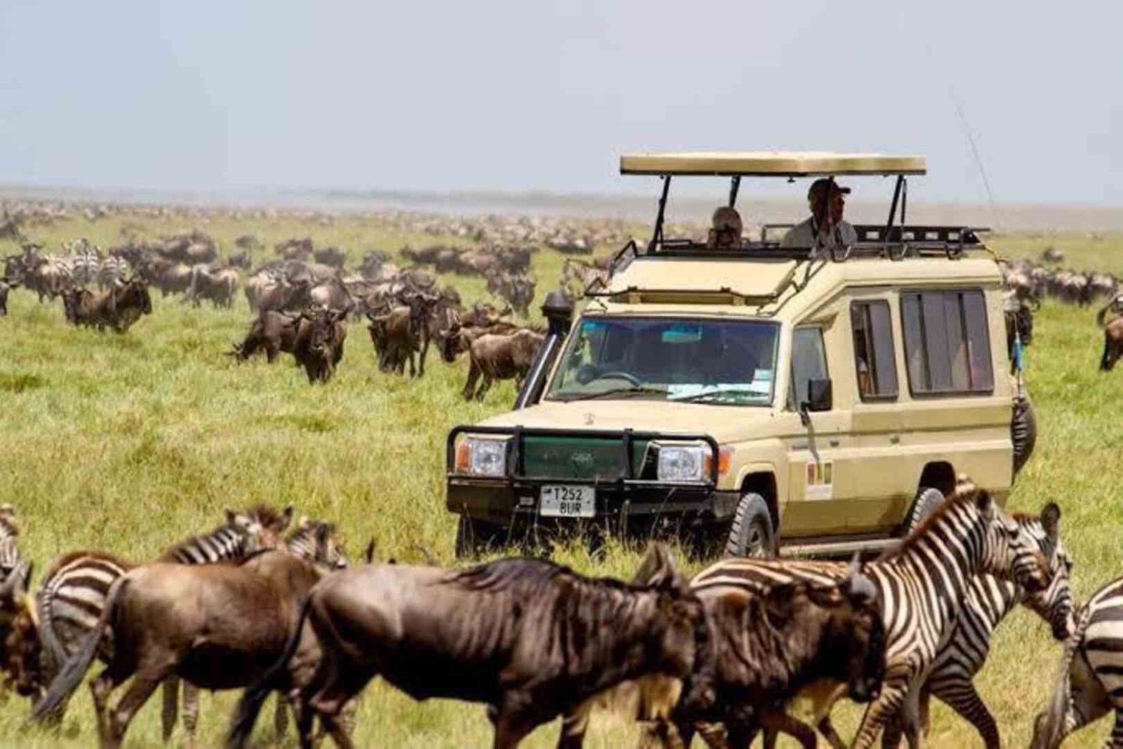 Economy 2 tourism pic